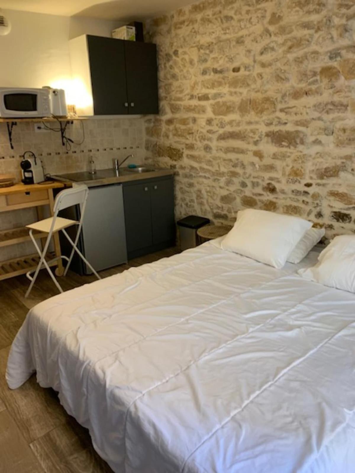 Studio With Exposed Stone Vieux Lyon リヨン エクステリア 写真