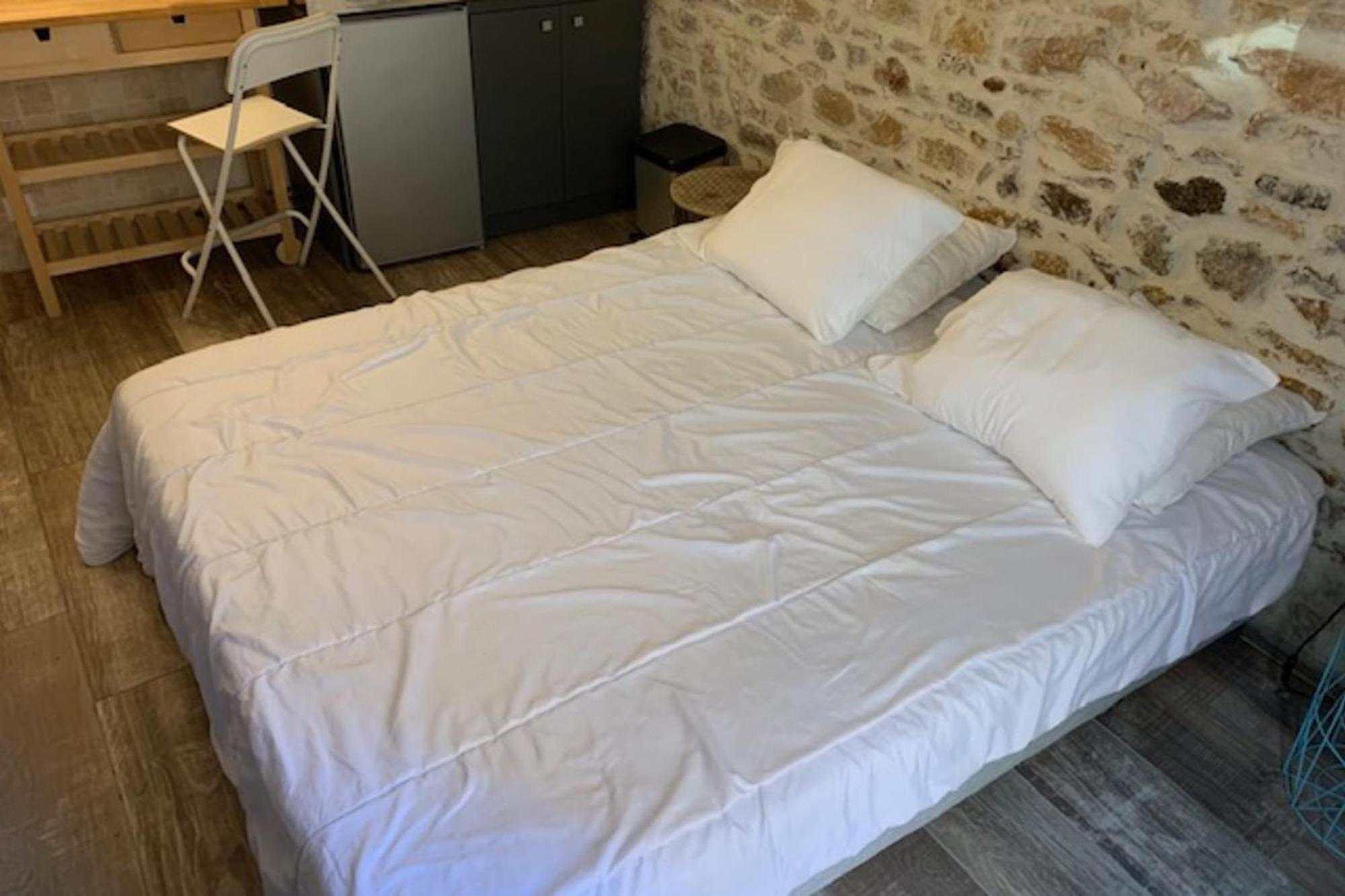 Studio With Exposed Stone Vieux Lyon リヨン エクステリア 写真